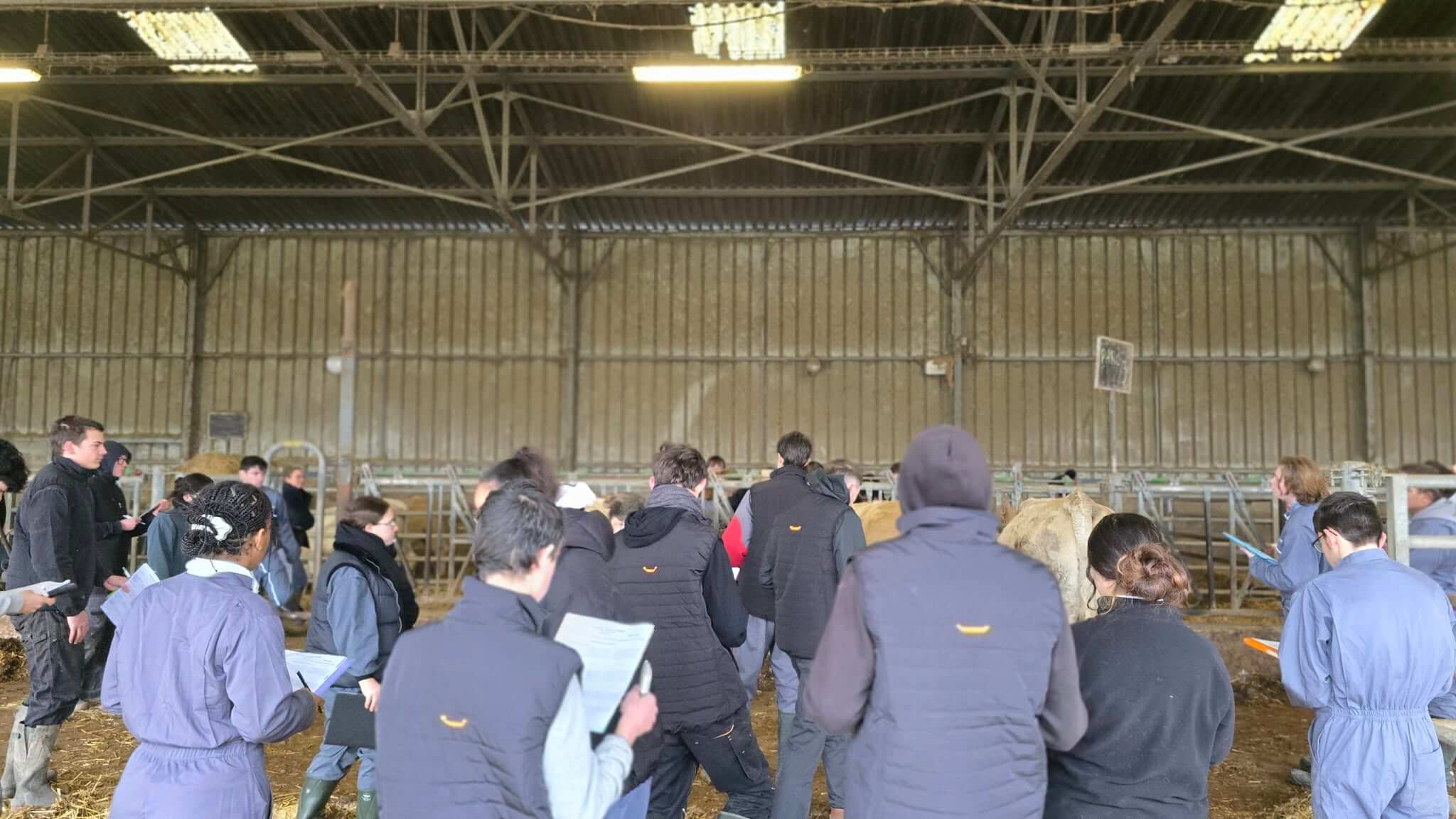 Illustration Wordskills