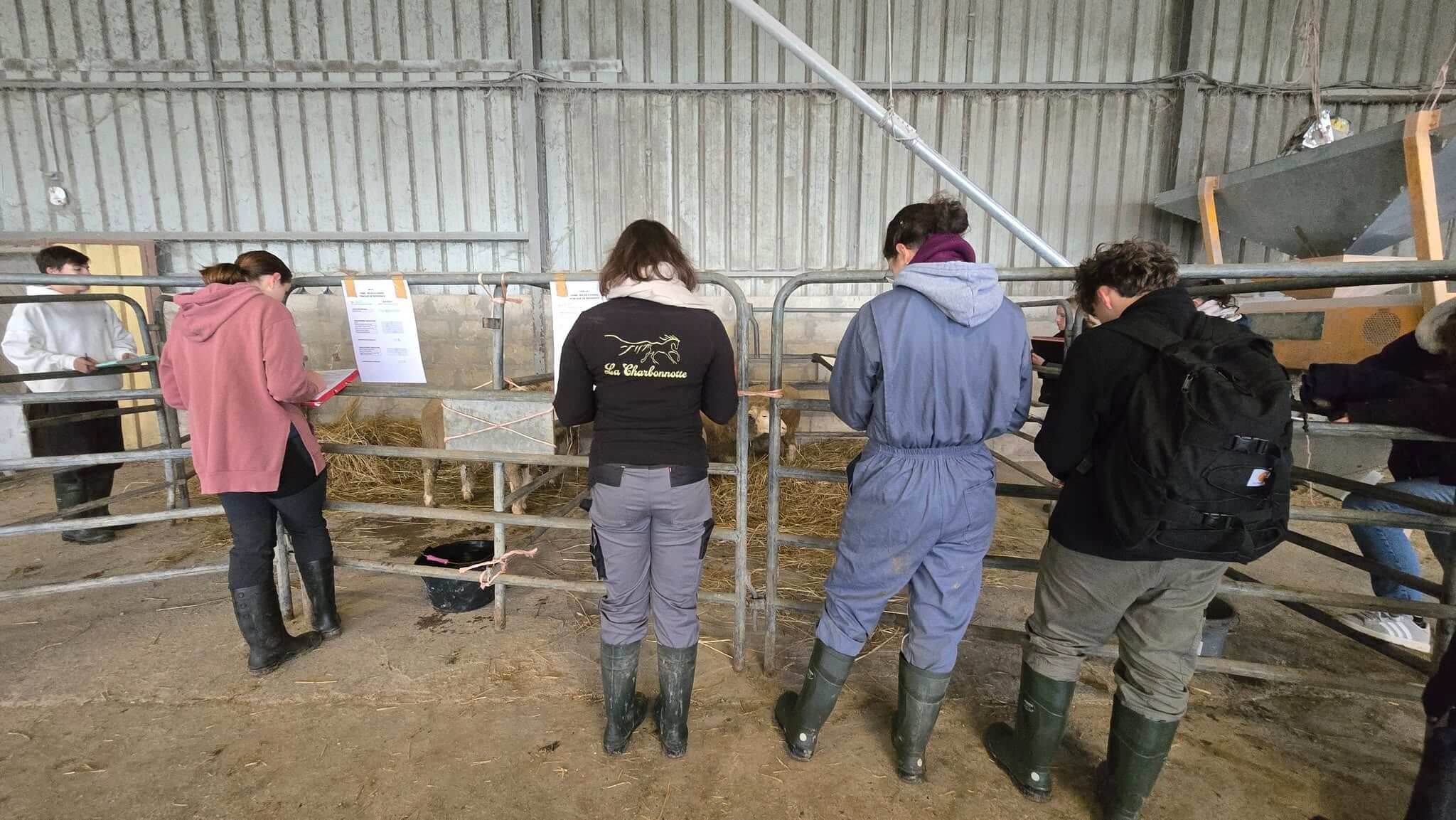 Illustration Wordskills