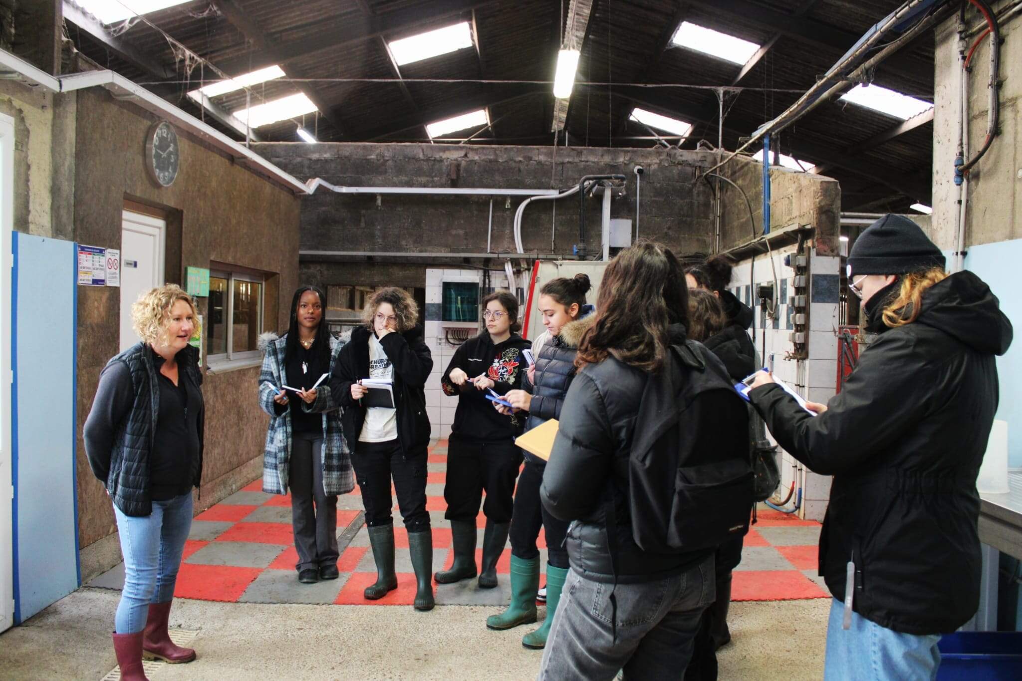 Illustration Wordskills