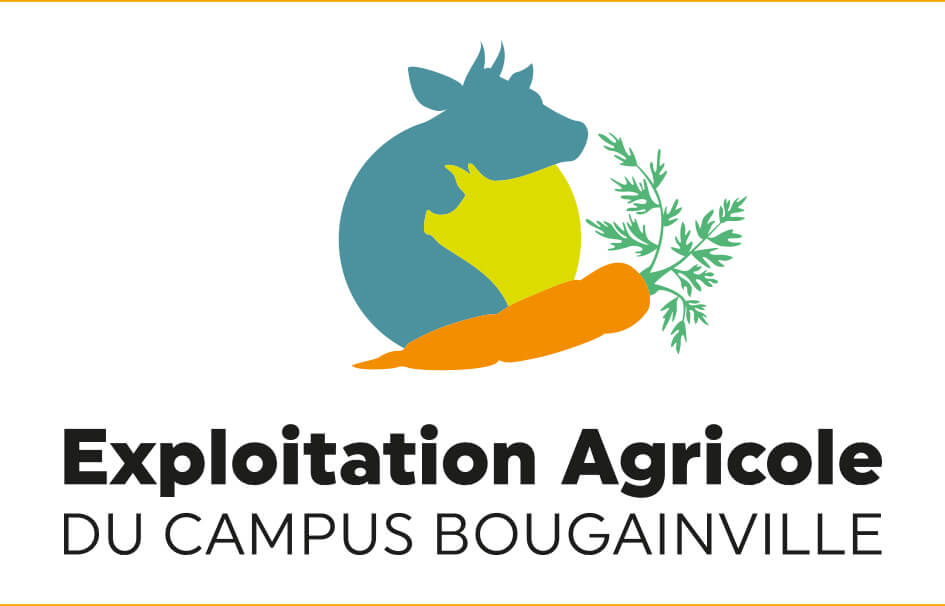 Logo Campus Bougainville