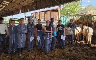 Travaux pratiques de zootechnie